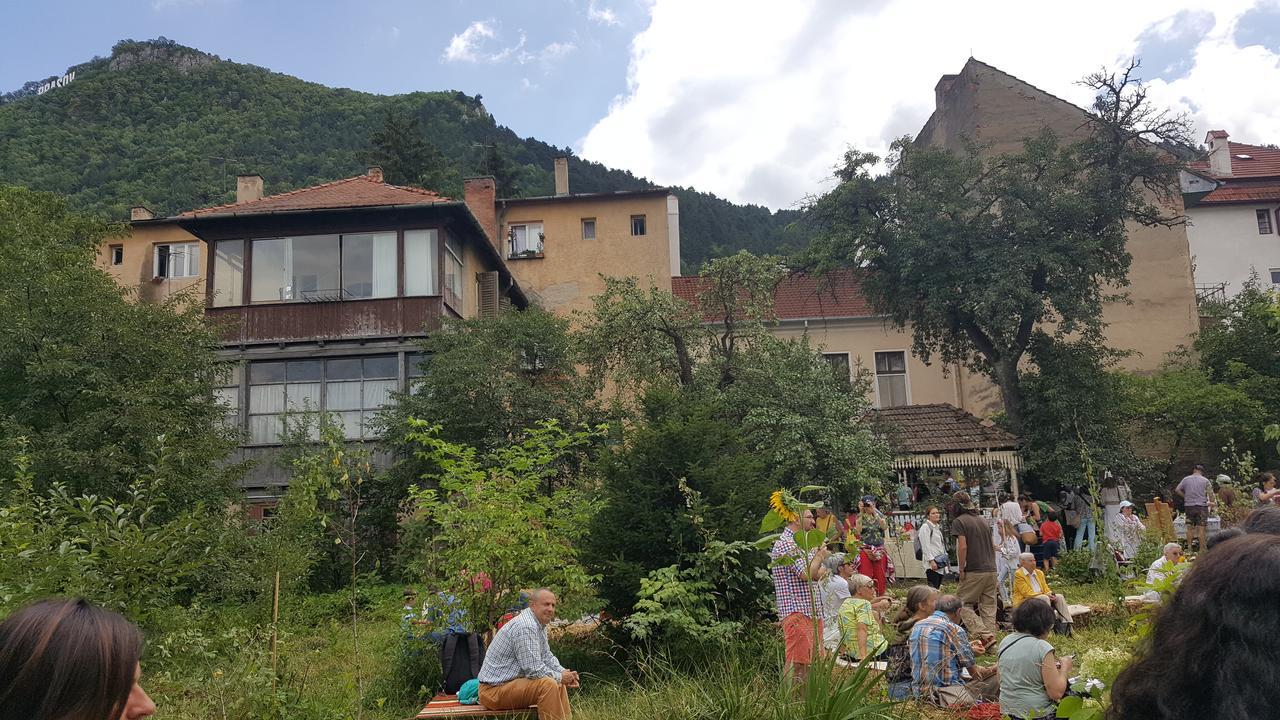 Hostel Mountain Tale Brașov Exterior foto